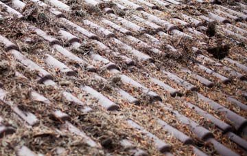 Blakelaw roof cleaning companies